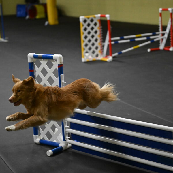 Gracie-Zielinski-09806