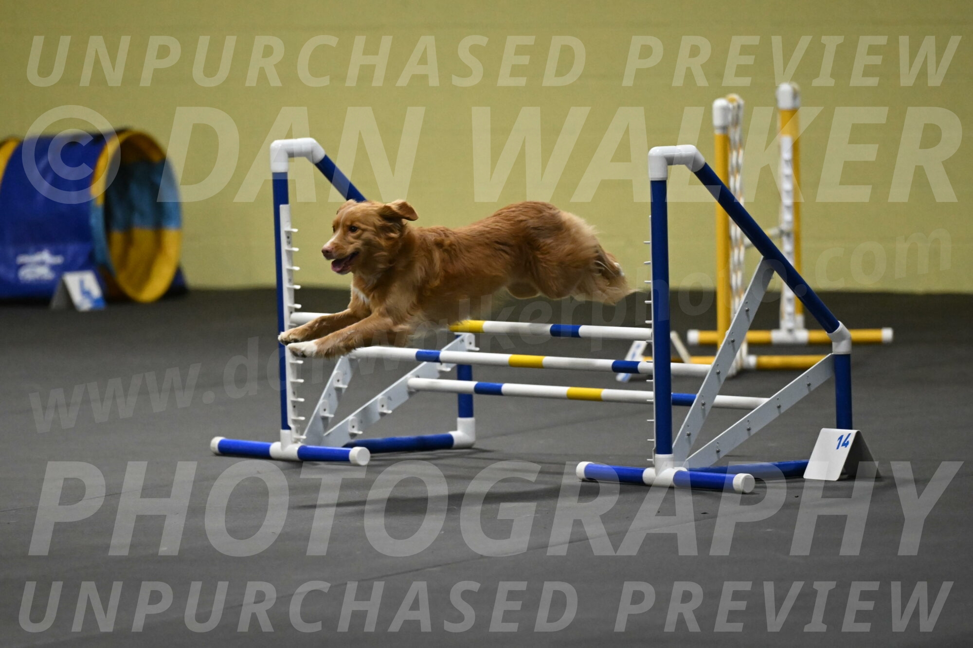 Gracie-Zielinski-09809