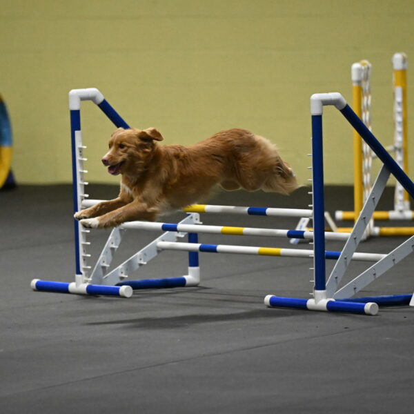 Gracie-Zielinski-09809