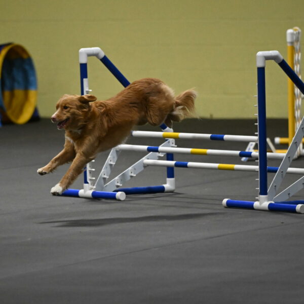 Gracie-Zielinski-09810