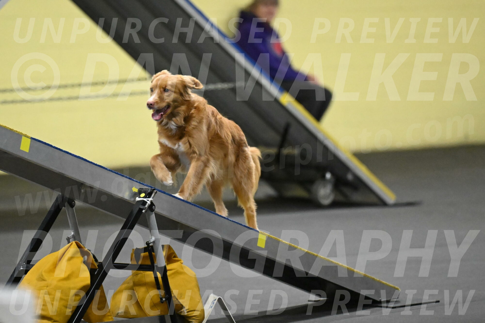 Gracie-Zielinski-09814