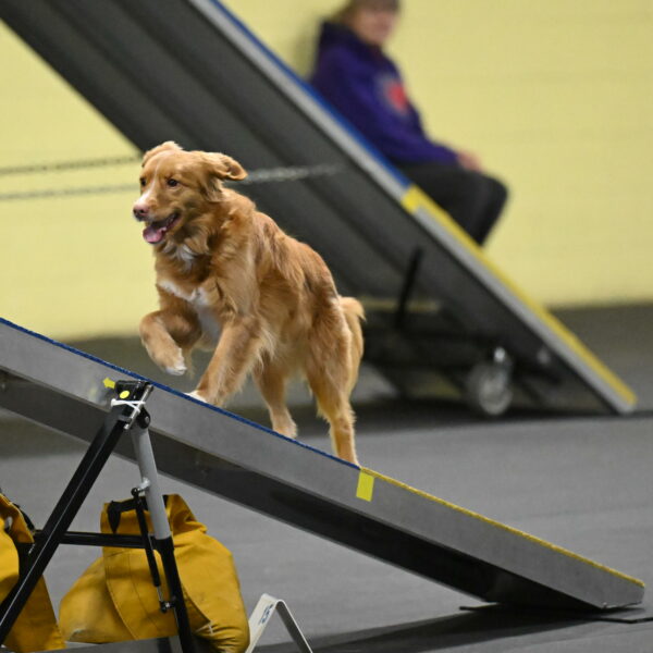 Gracie-Zielinski-09814