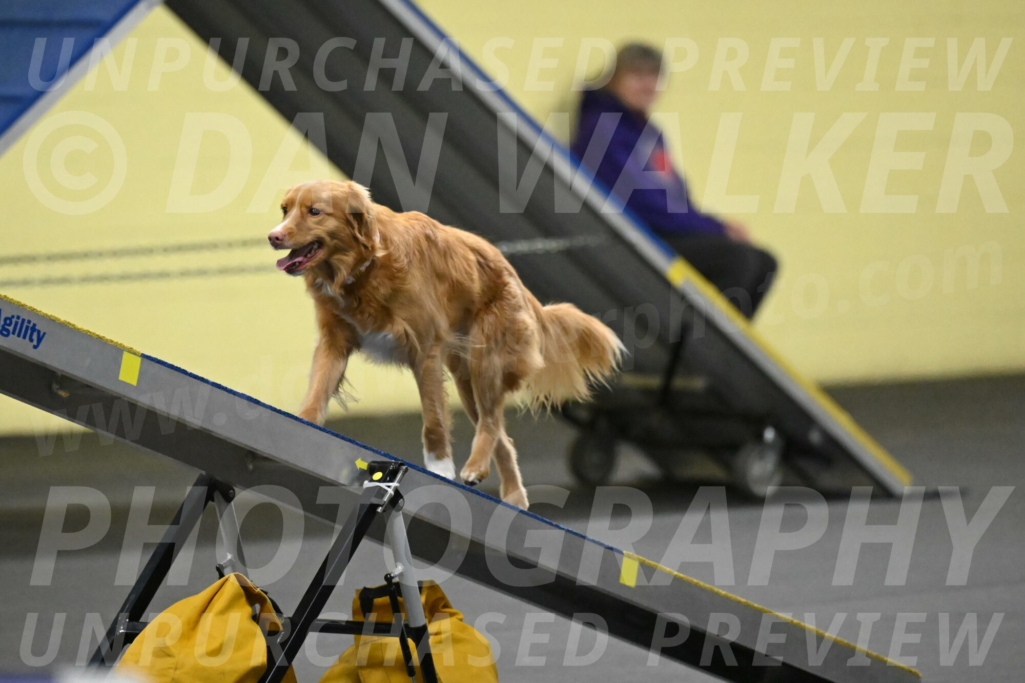 Gracie-Zielinski-09815