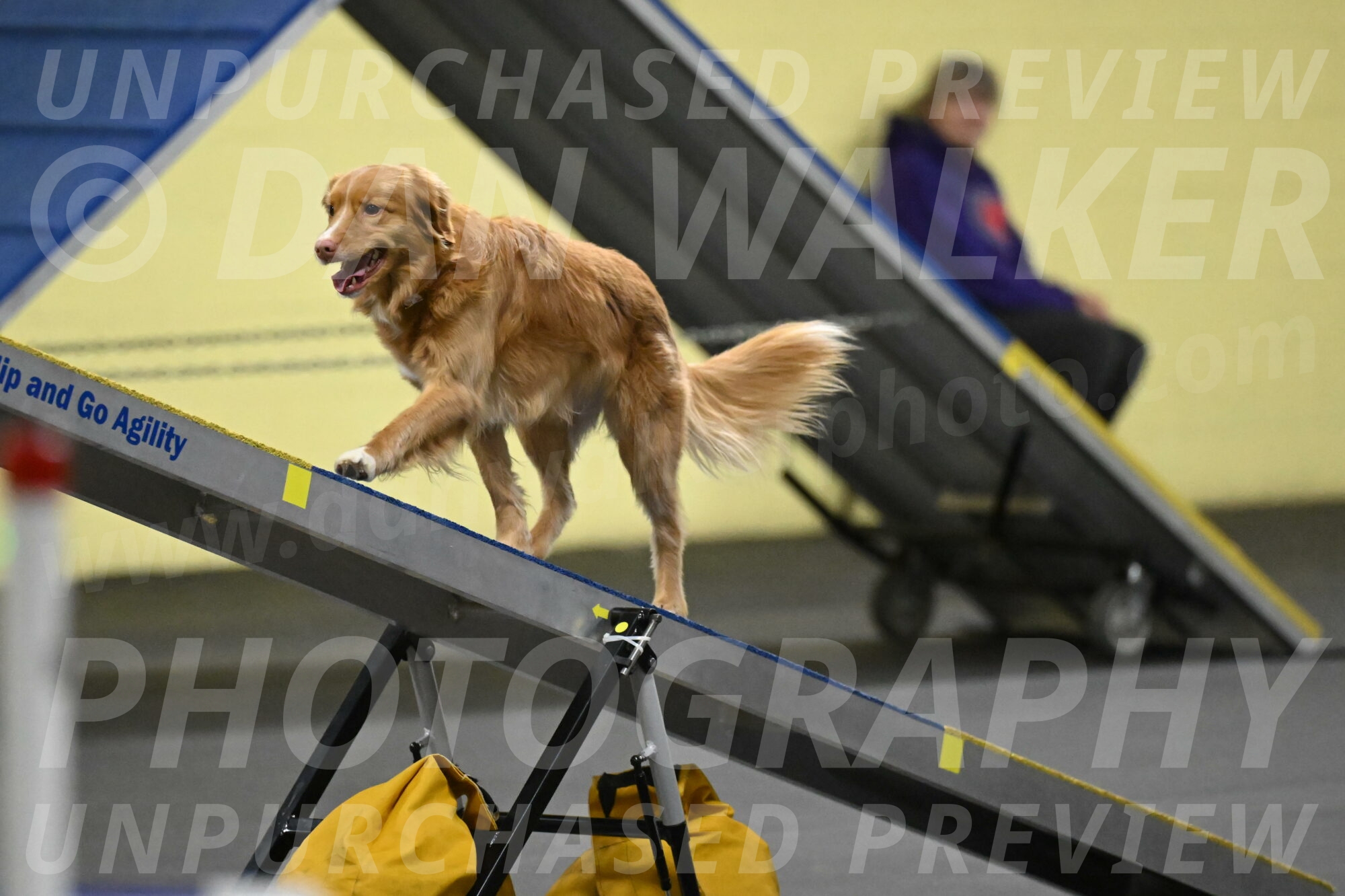 Gracie-Zielinski-09817