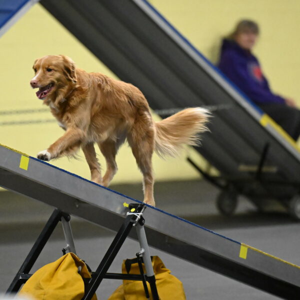 Gracie-Zielinski-09817