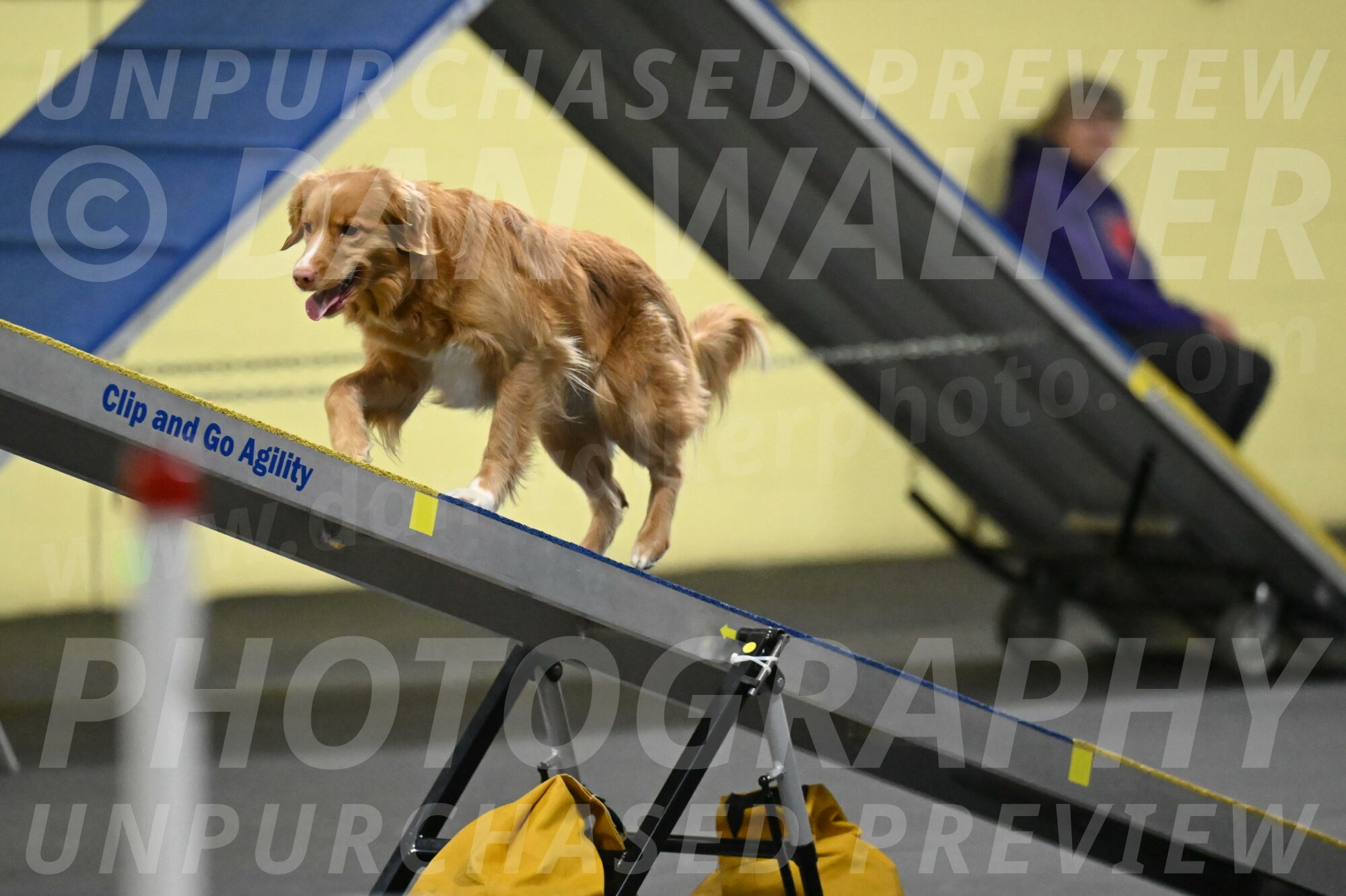 Gracie-Zielinski-09819