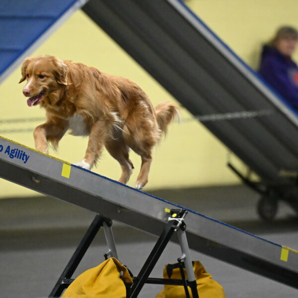 Gracie-Zielinski-09819