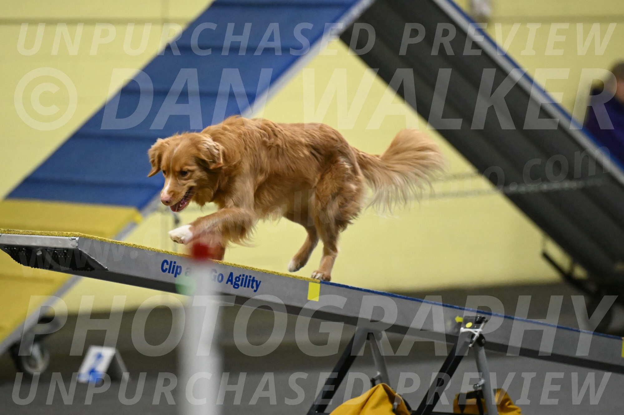 Gracie-Zielinski-09822