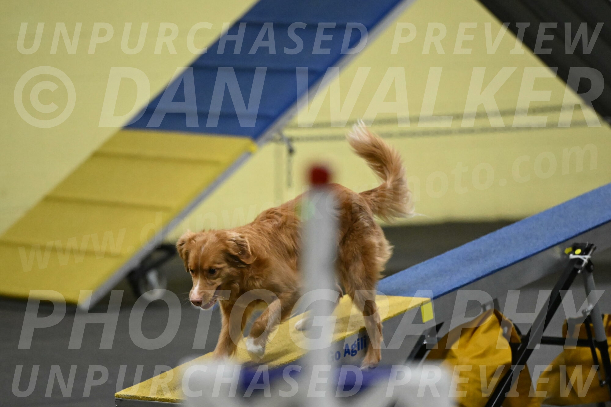 Gracie-Zielinski-09825