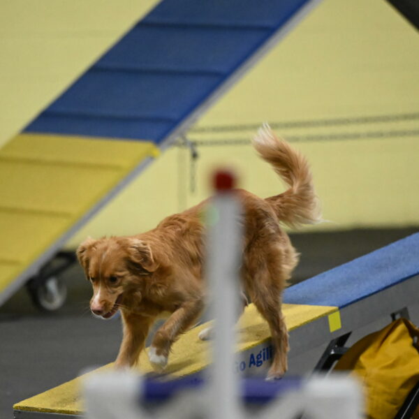 Gracie-Zielinski-09825