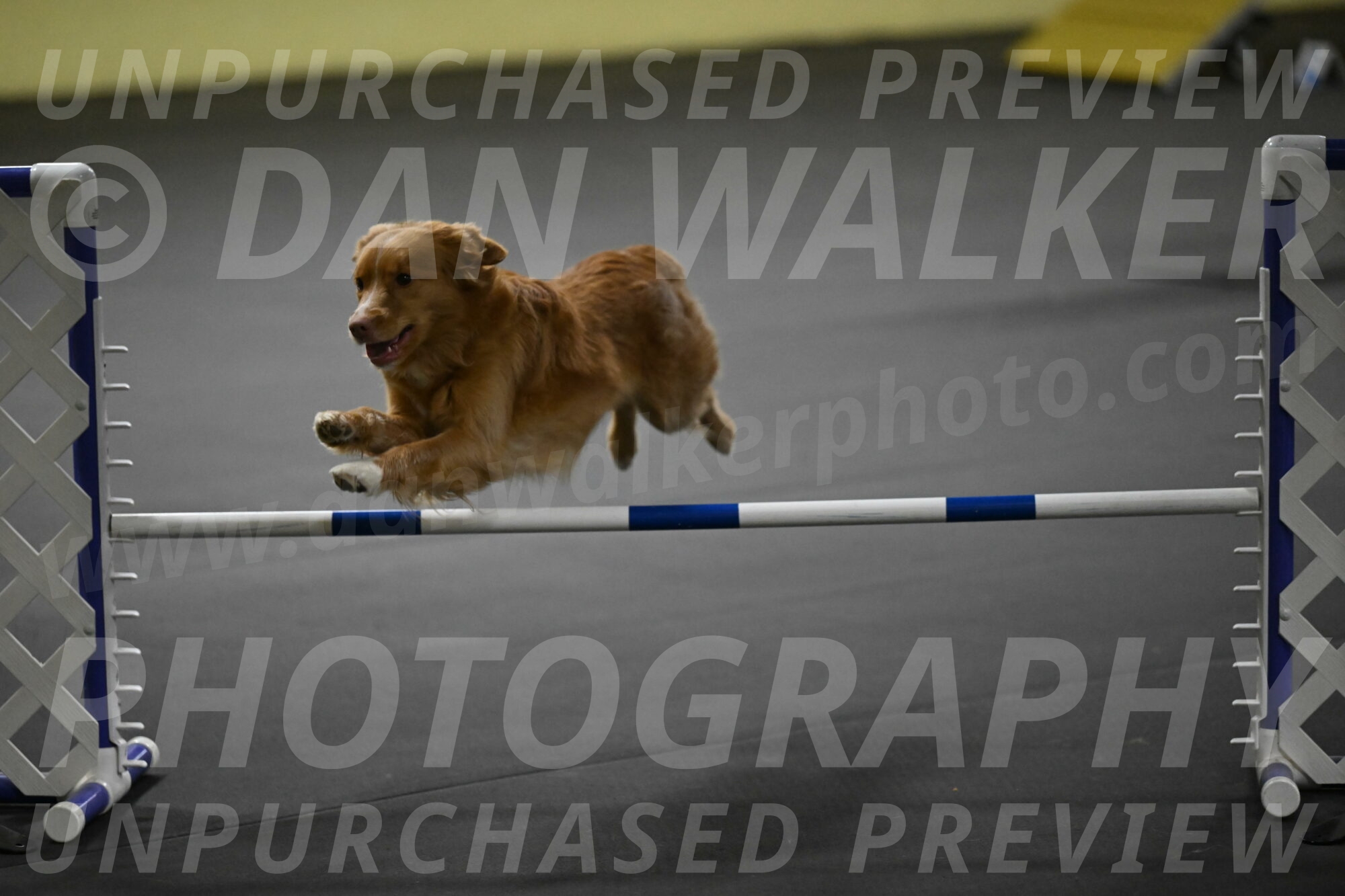 Gracie-Zielinski-09834