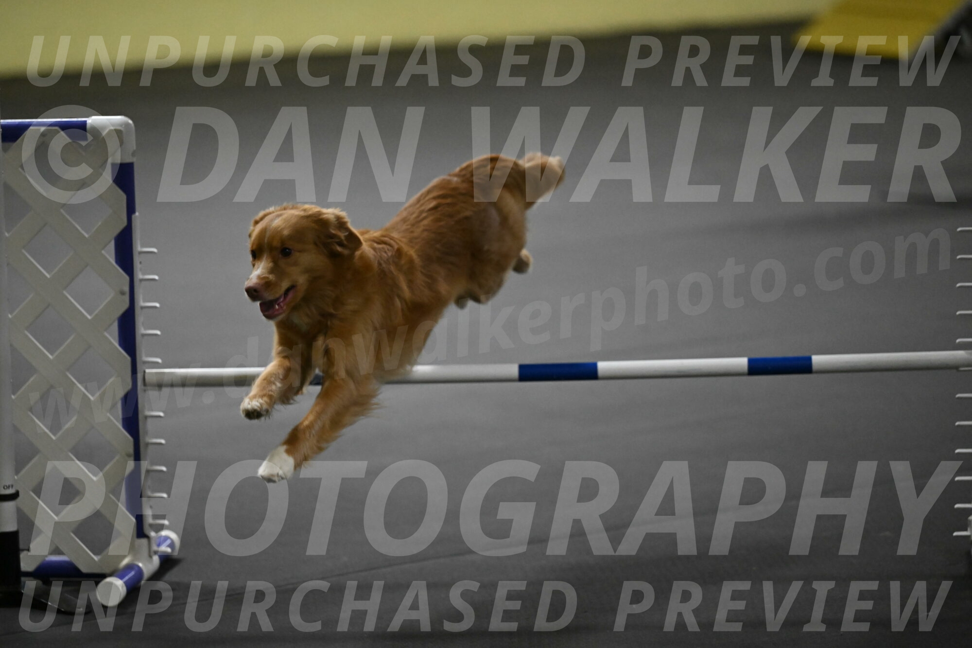 Gracie-Zielinski-09835