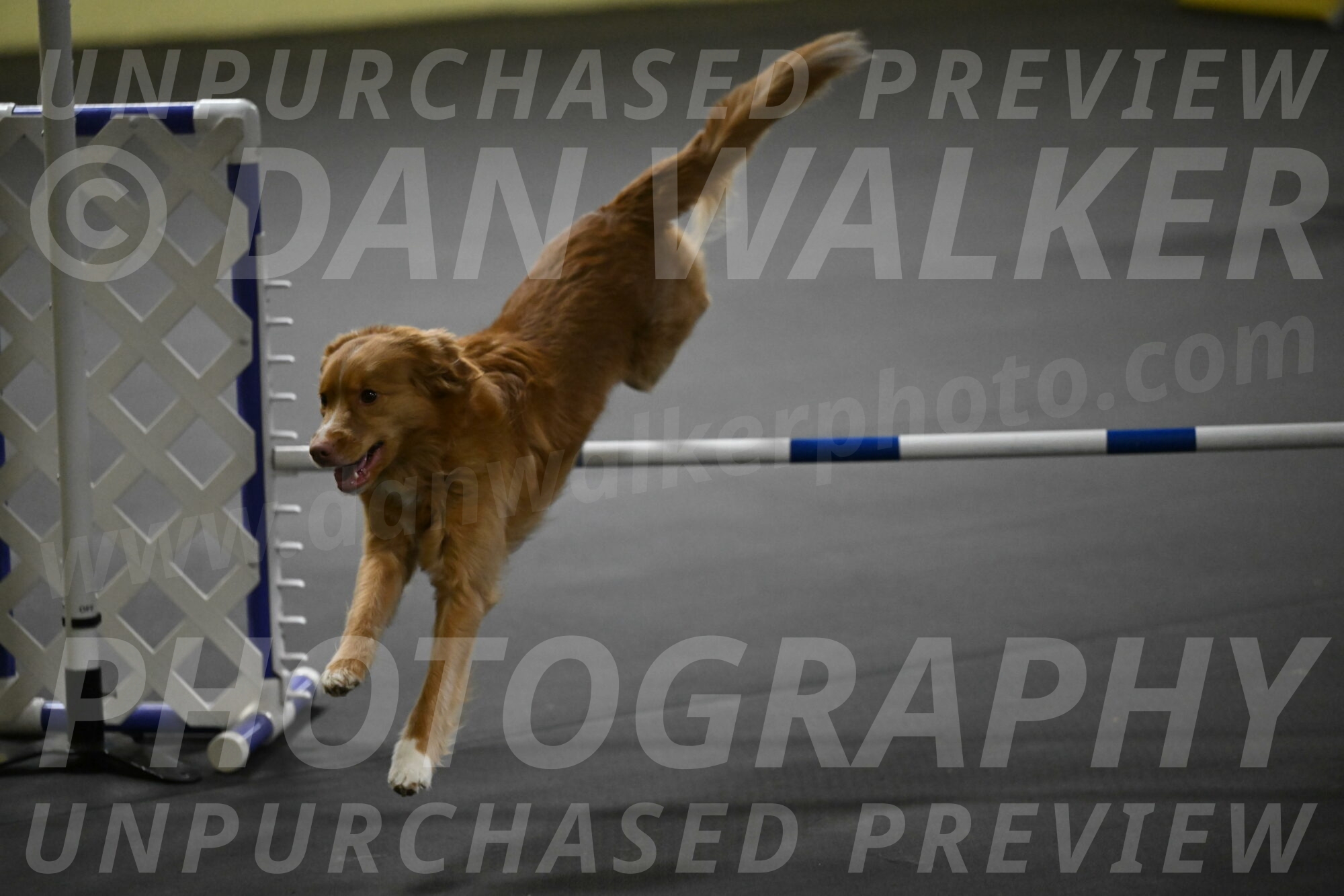 Gracie-Zielinski-09836