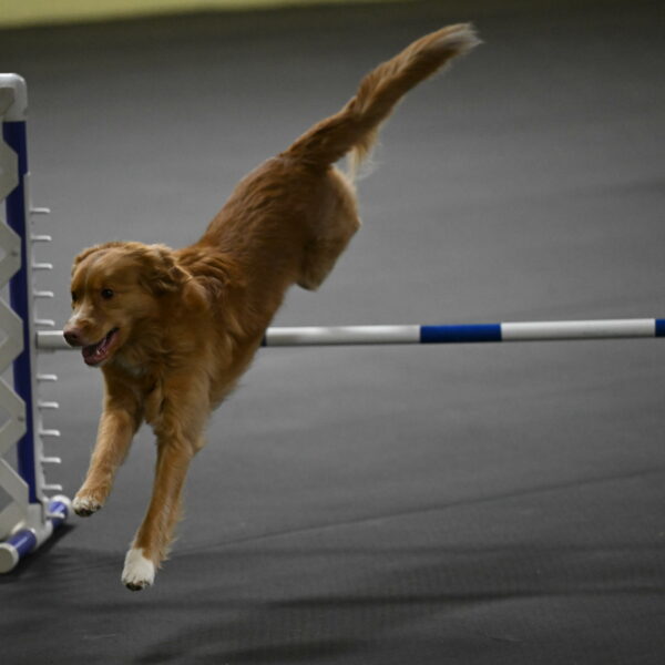 Gracie-Zielinski-09836