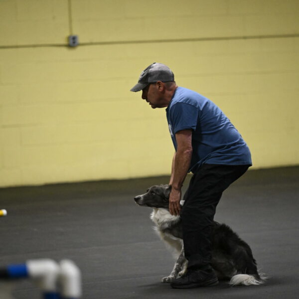 Grindylow-Rachow-03902