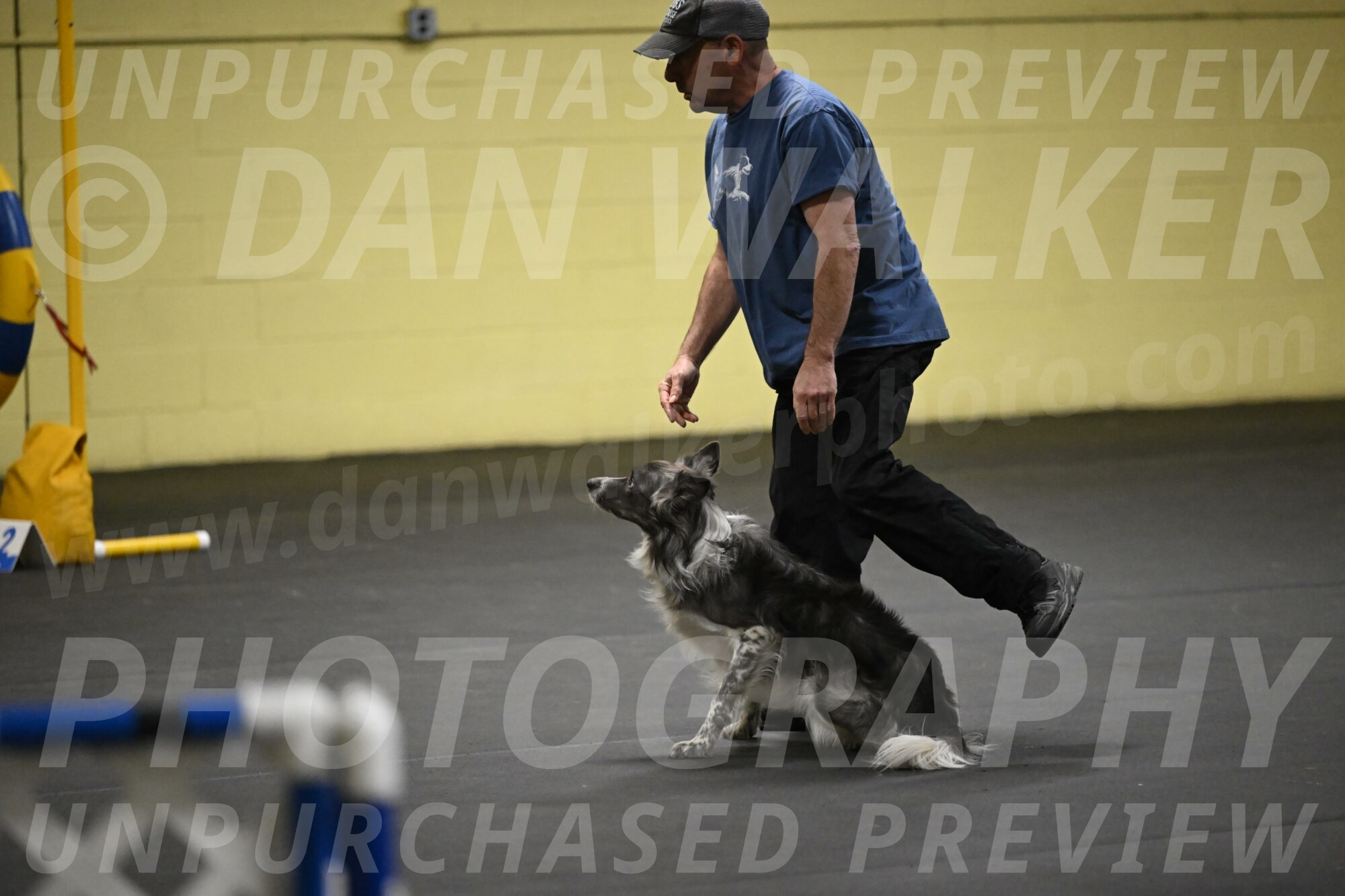 Grindylow-Rachow-03903