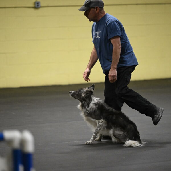 Grindylow-Rachow-03903