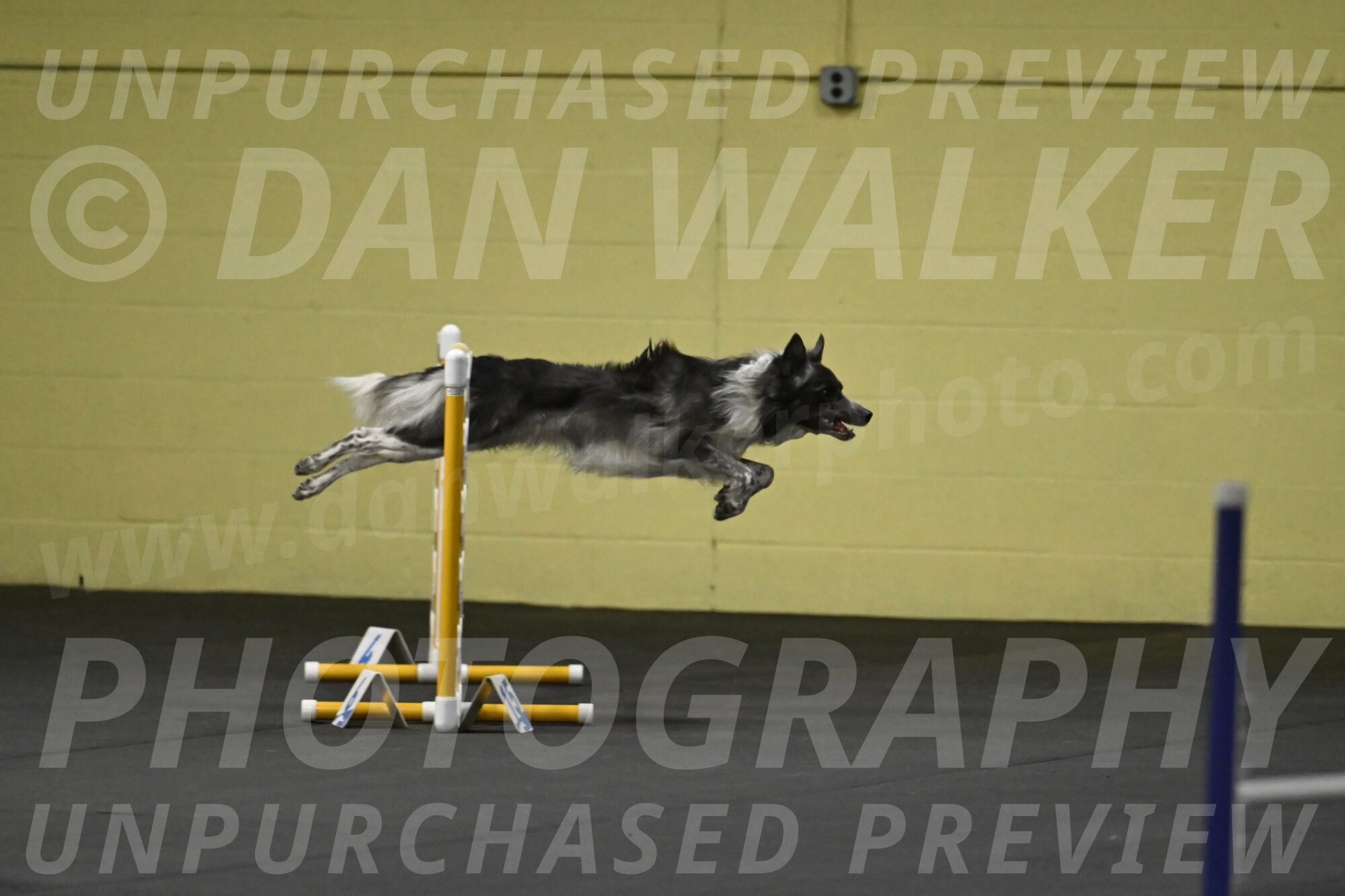 Grindylow-Rachow-03913