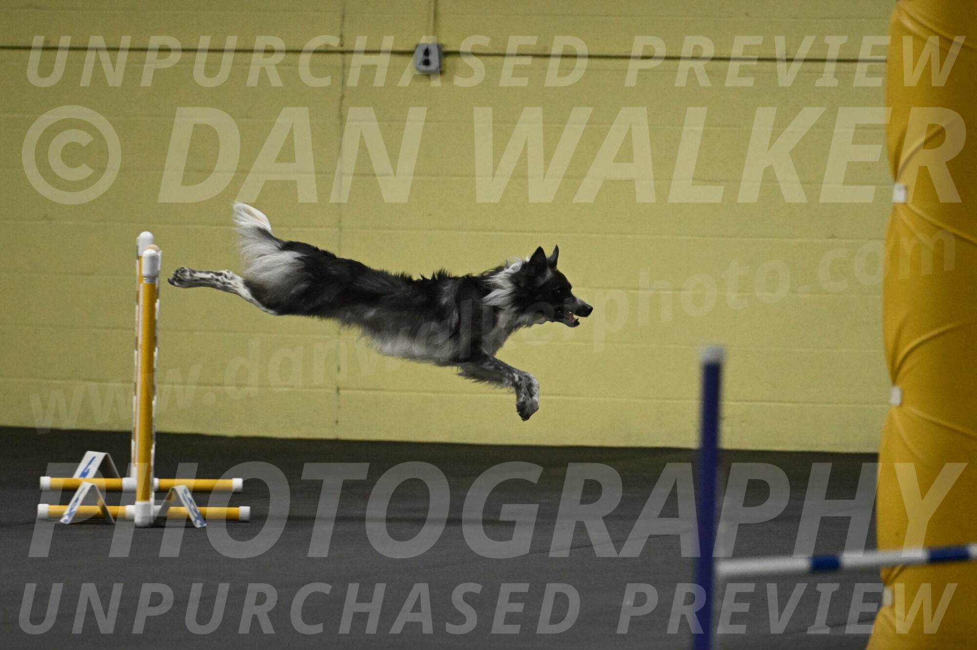 Grindylow-Rachow-03914