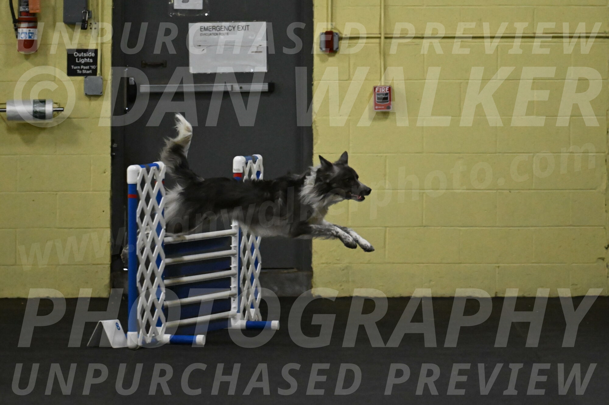 Grindylow-Rachow-03922