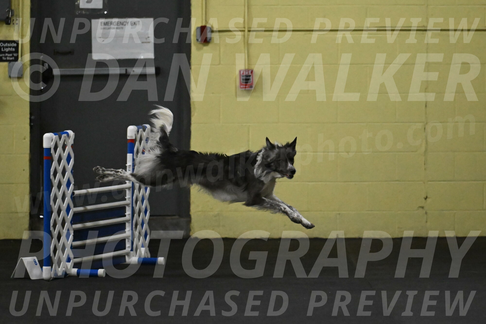 Grindylow-Rachow-03923