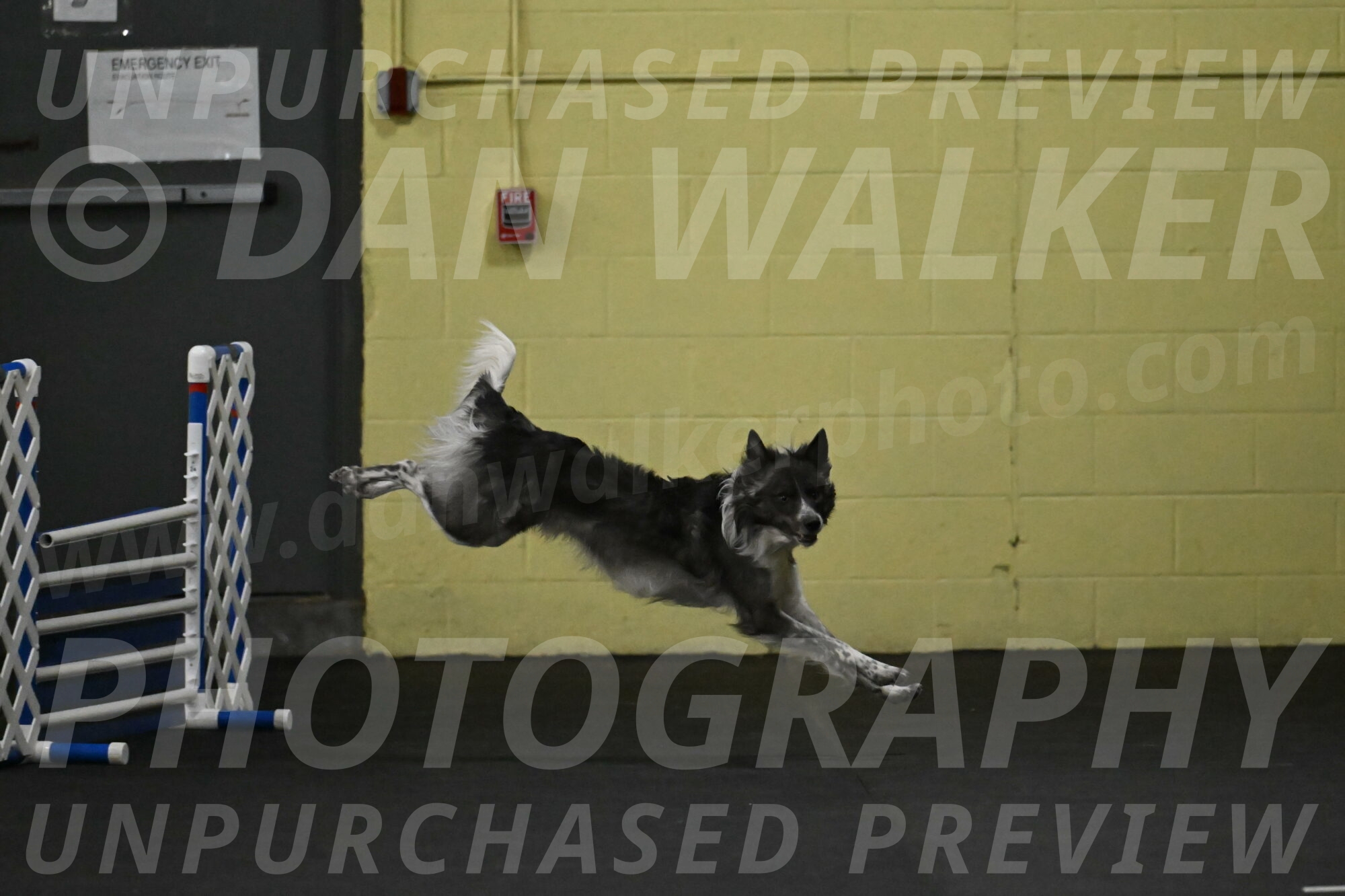 Grindylow-Rachow-03924