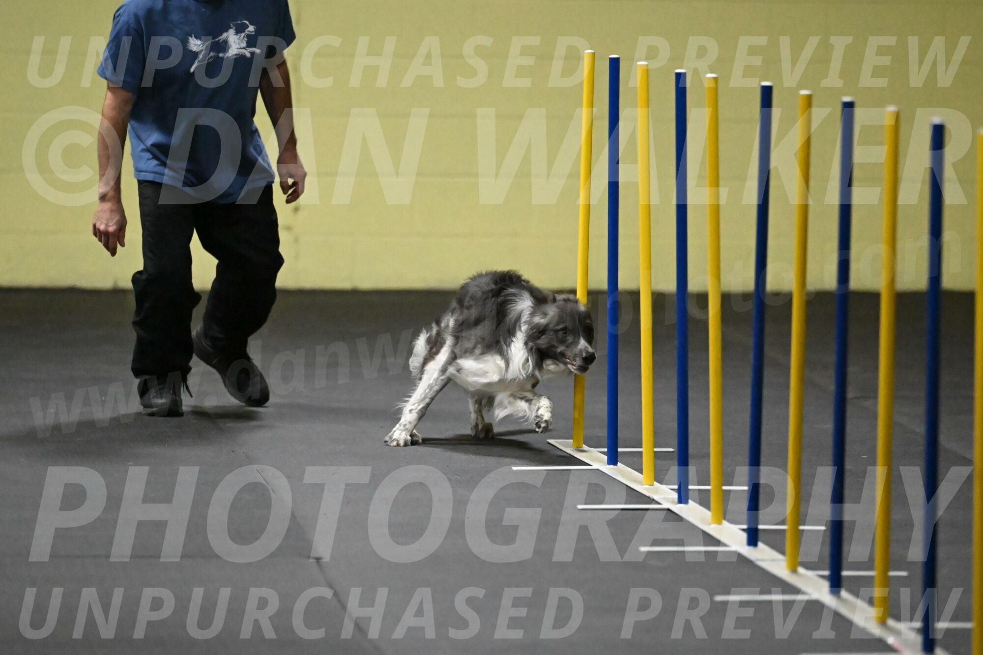 Grindylow-Rachow-03926