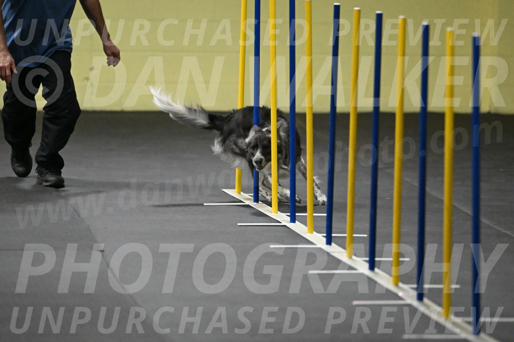 Grindylow-Rachow-03929