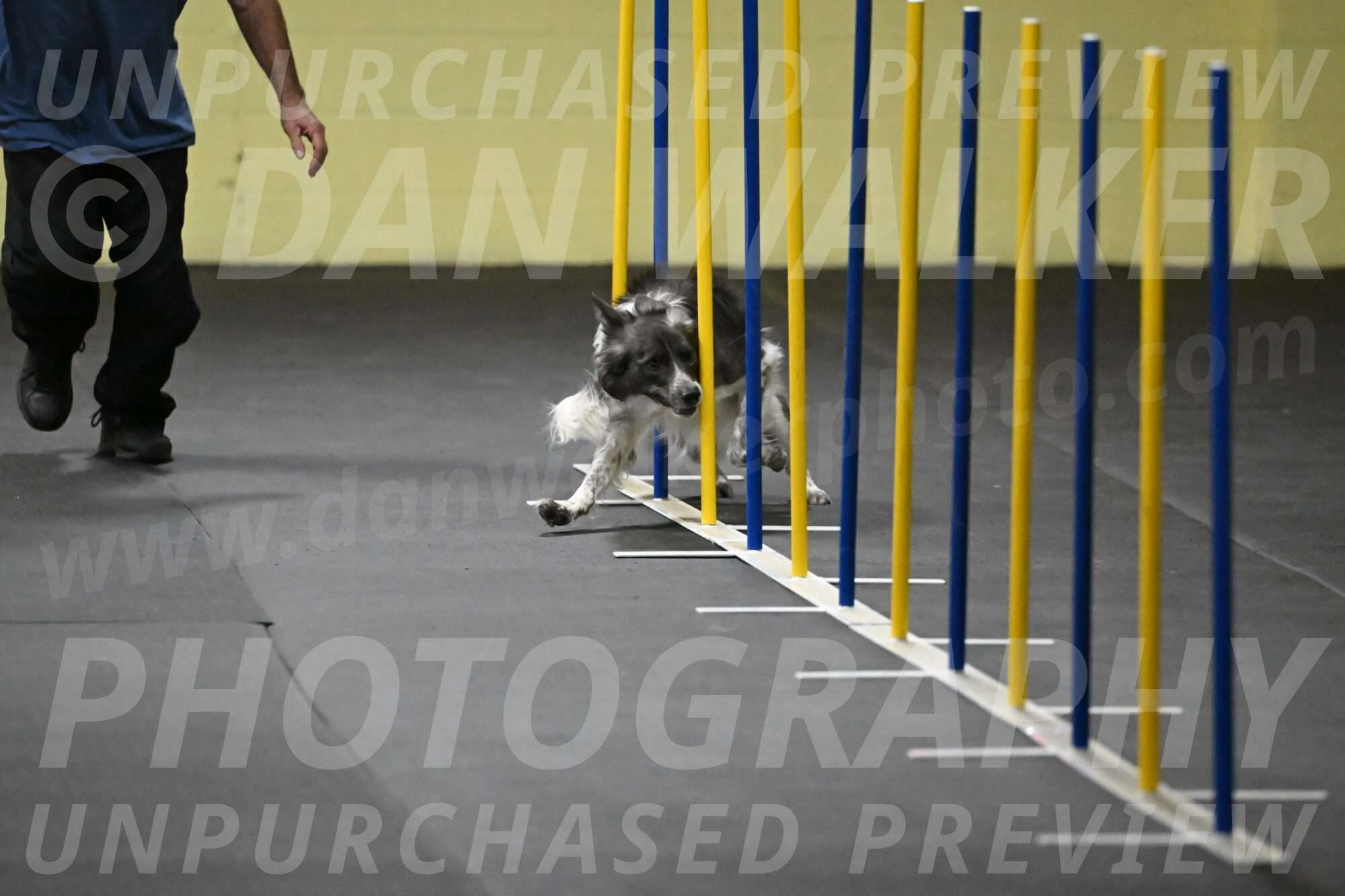 Grindylow-Rachow-03930