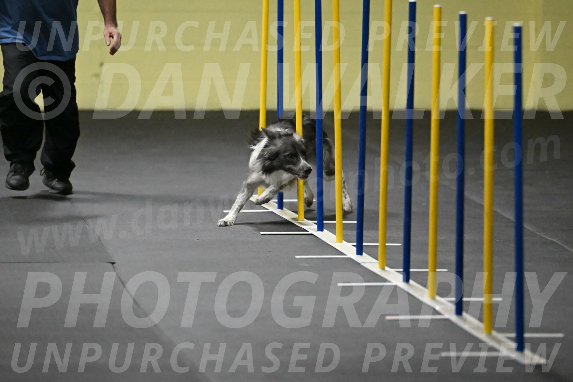 Grindylow-Rachow-03931