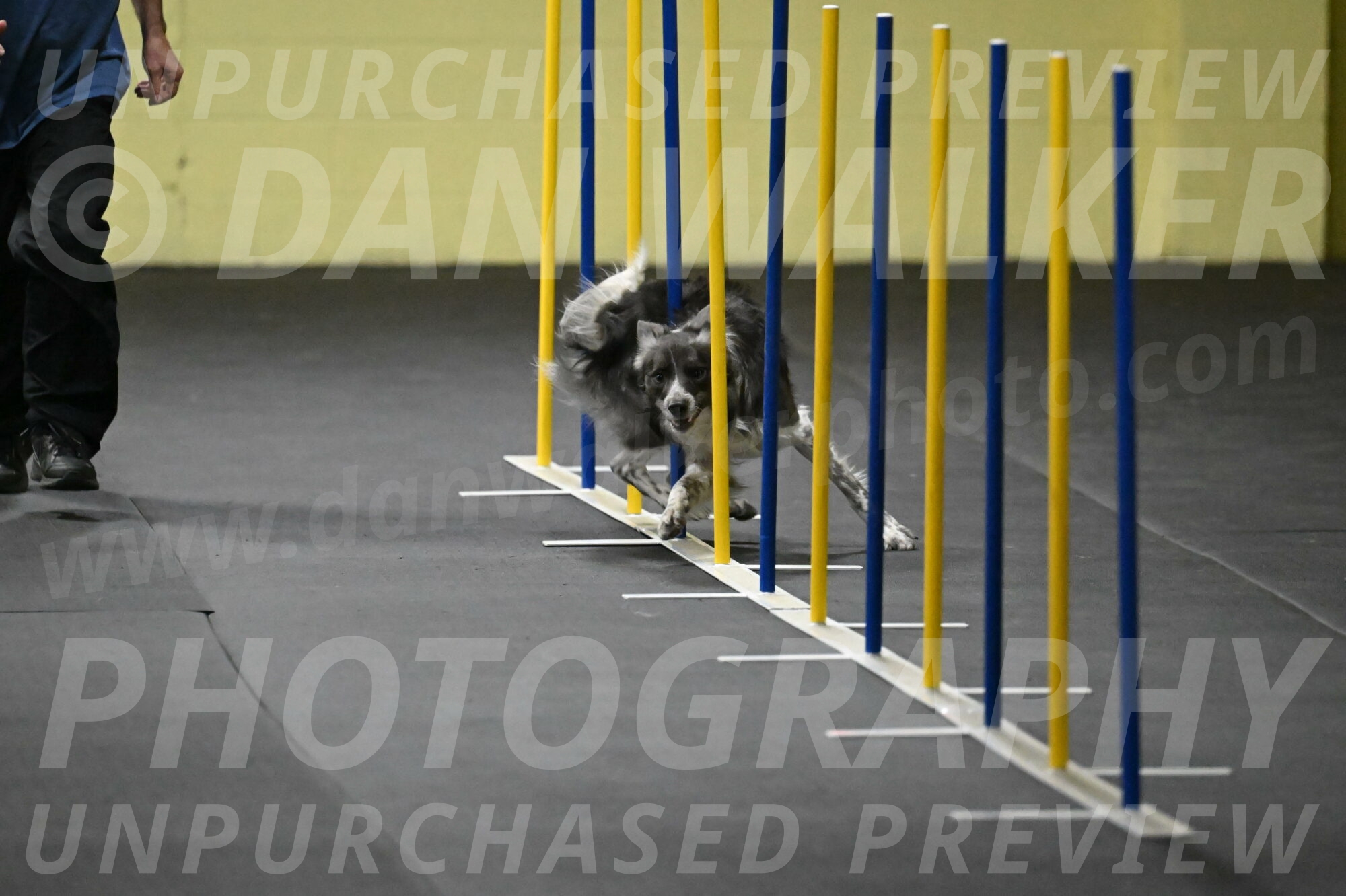 Grindylow-Rachow-03935