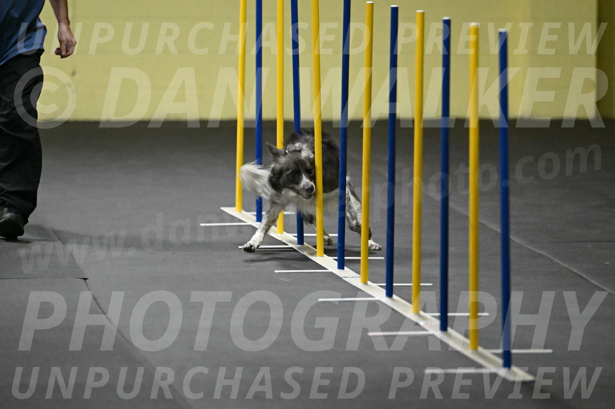 Grindylow-Rachow-03936