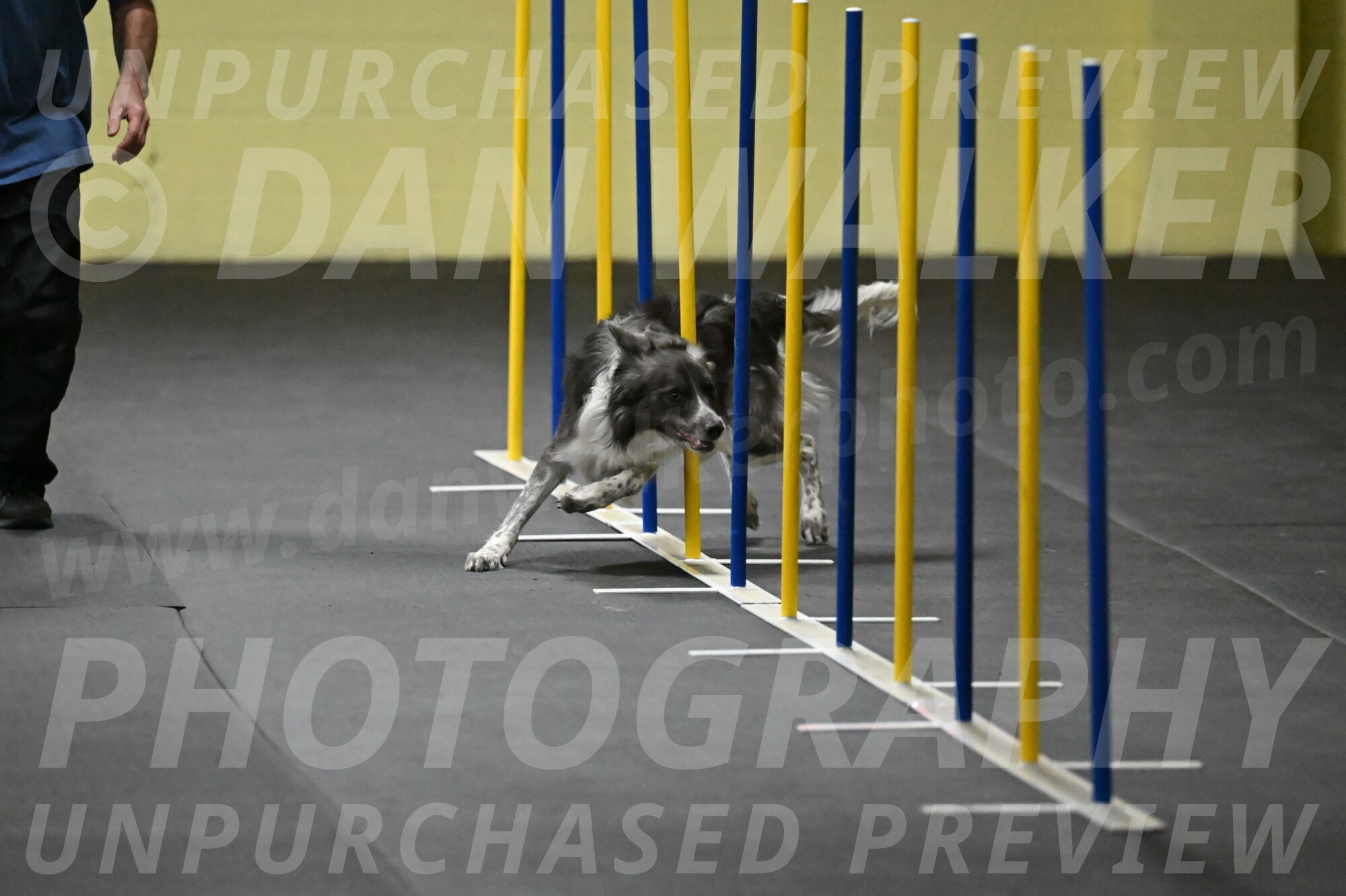 Grindylow-Rachow-03937