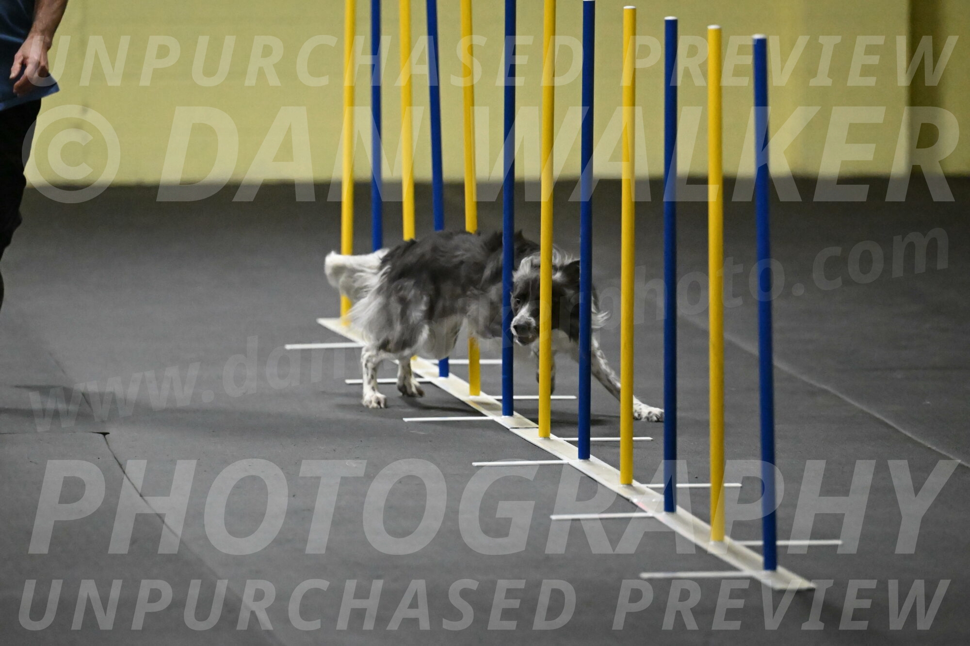 Grindylow-Rachow-03940