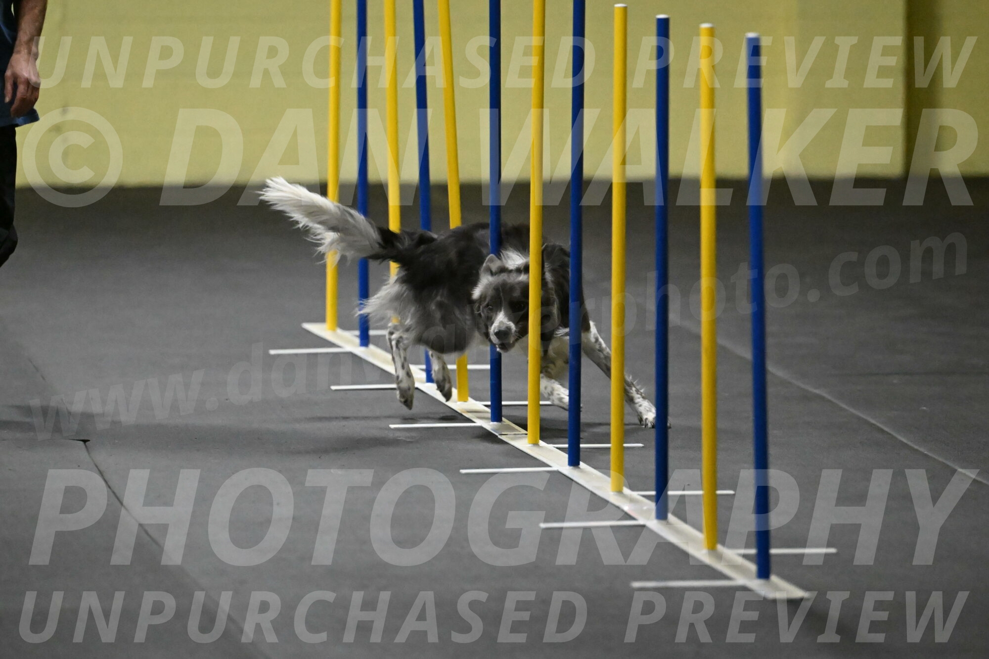 Grindylow-Rachow-03941