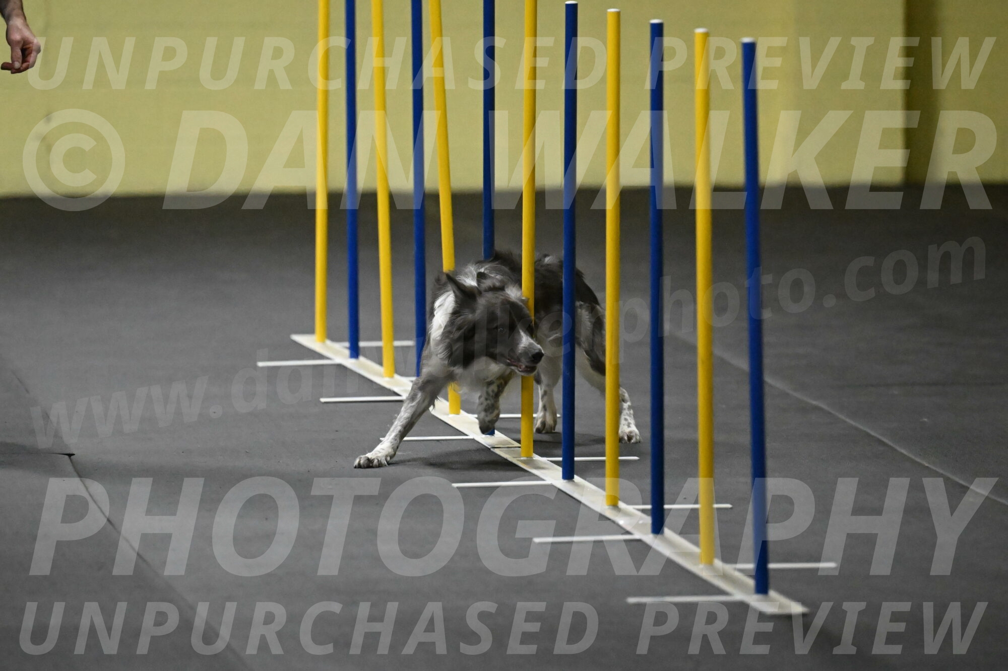 Grindylow-Rachow-03942