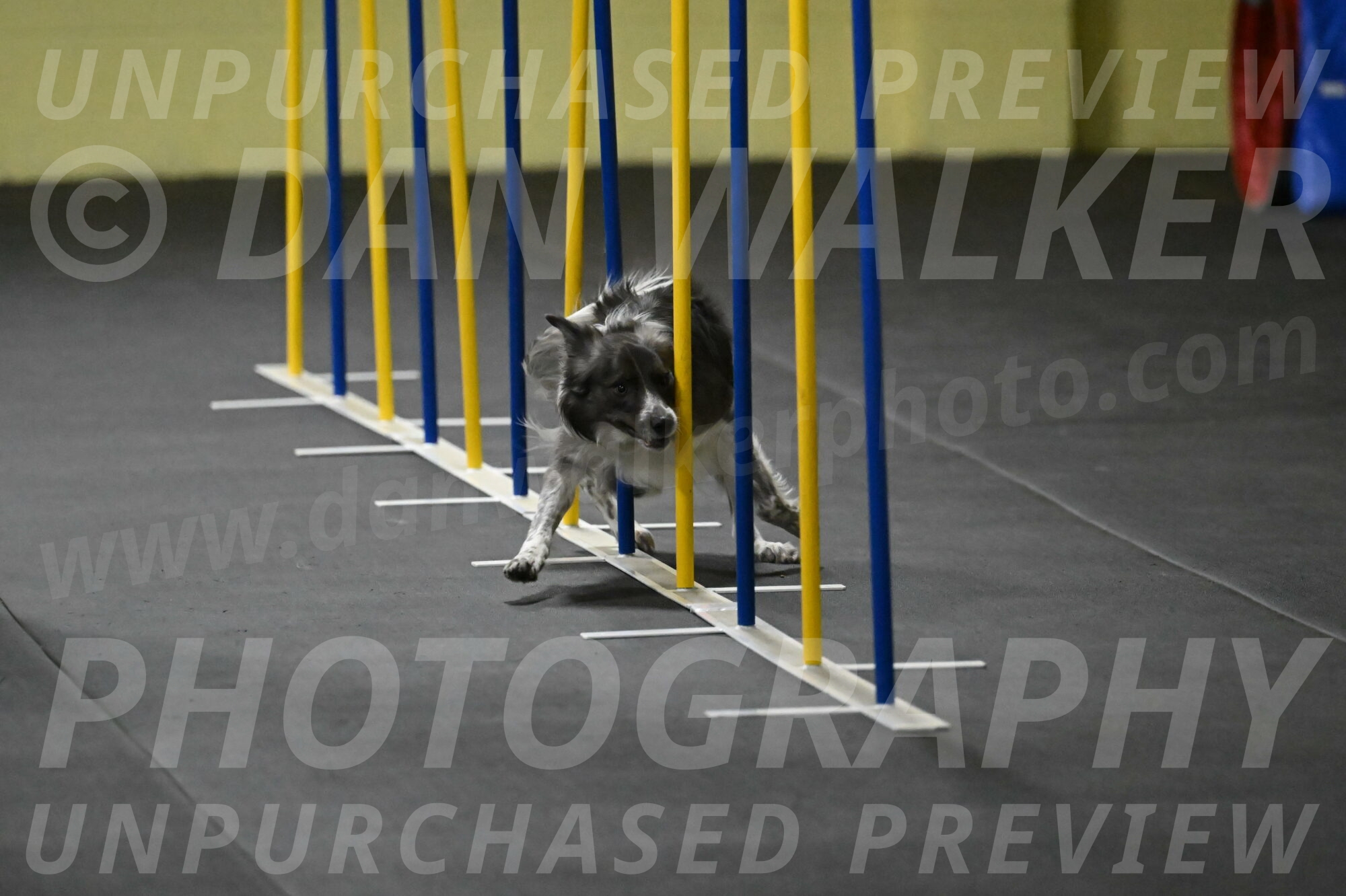 Grindylow-Rachow-03947