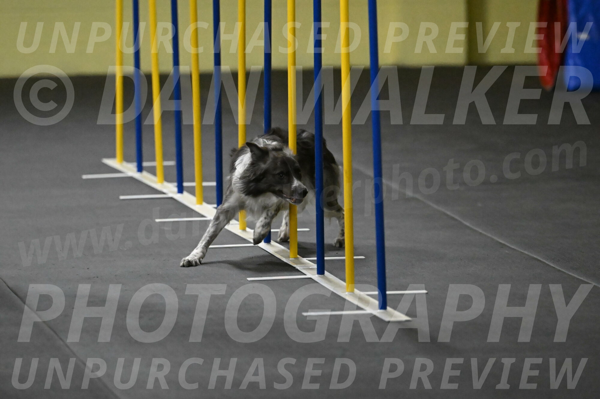 Grindylow-Rachow-03948