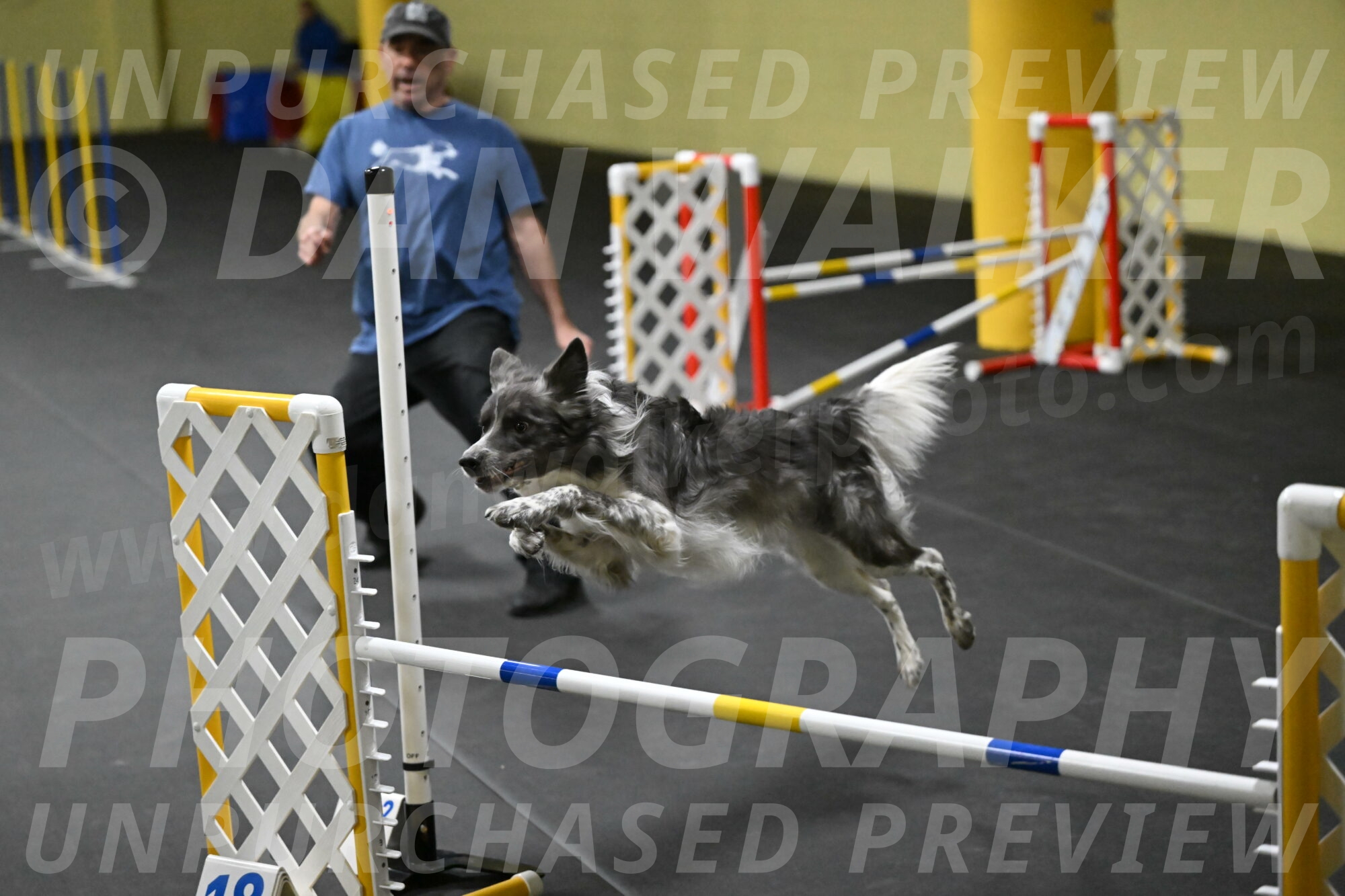 Grindylow-Rachow-03966