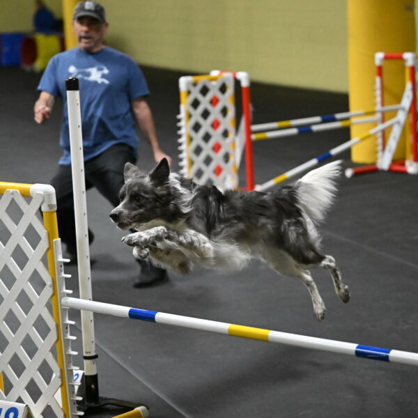 Grindylow-Rachow-03966