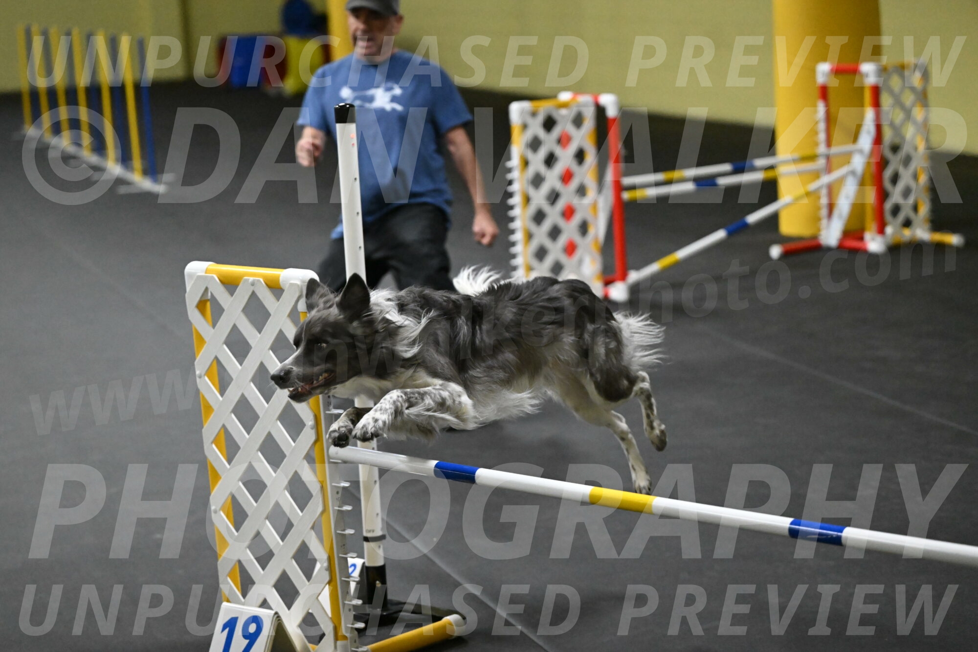 Grindylow-Rachow-03967