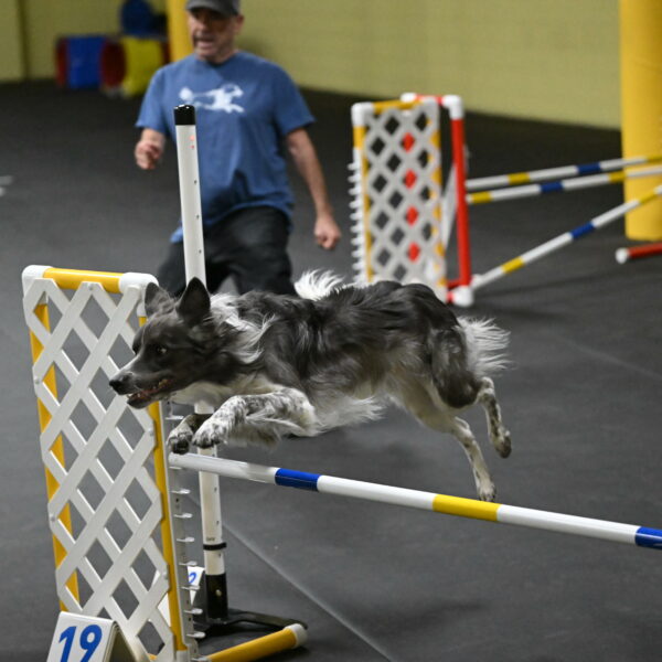 Grindylow-Rachow-03967