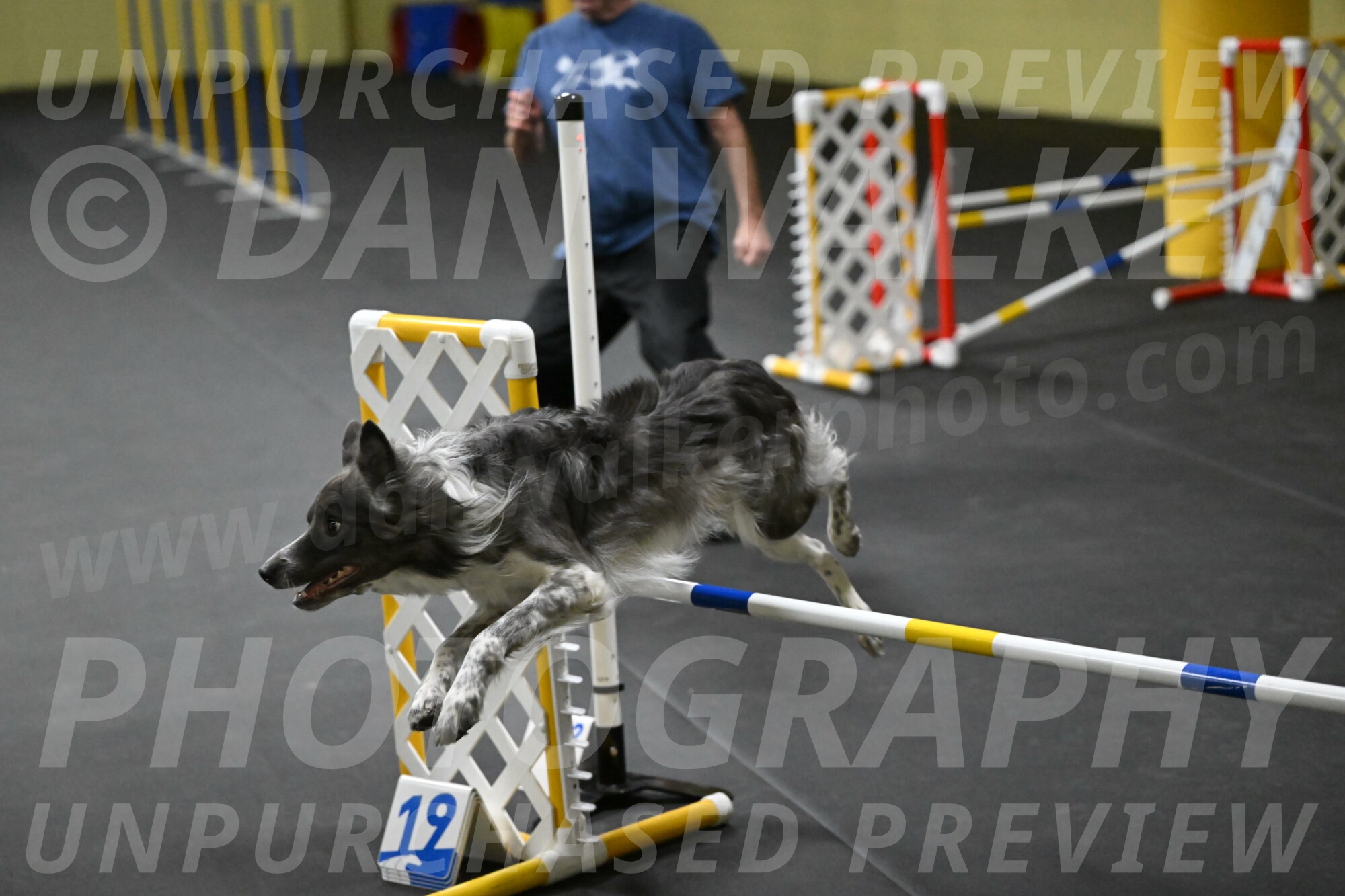 Grindylow-Rachow-03968