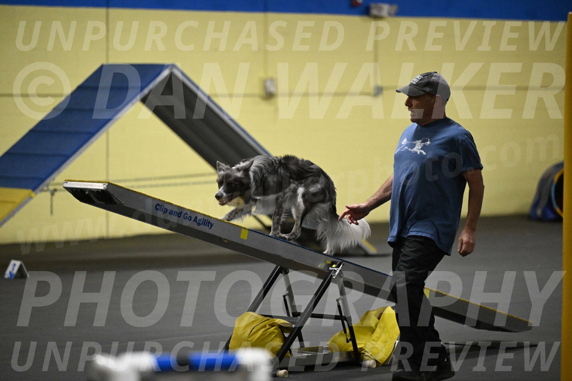 Grindylow-Rachow-03972