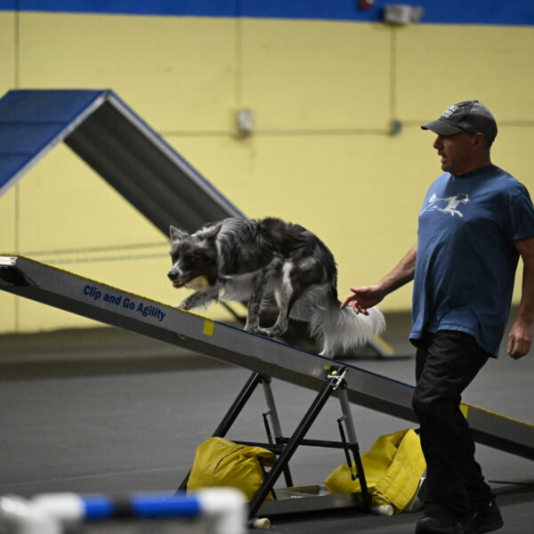 Grindylow-Rachow-03972