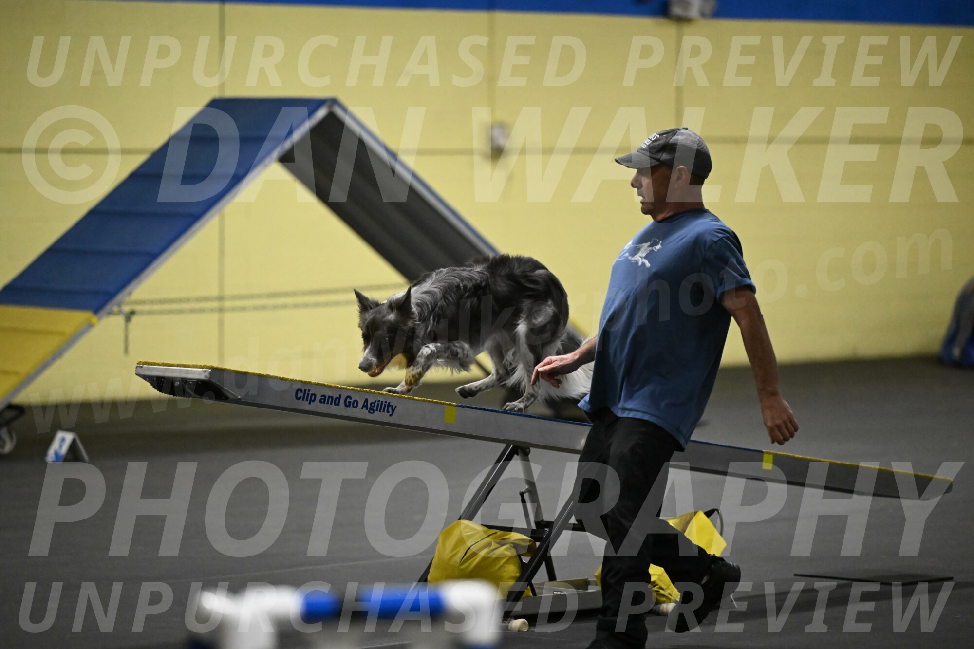 Grindylow-Rachow-03974