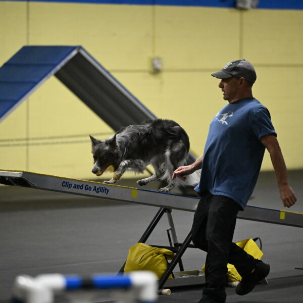 Grindylow-Rachow-03974