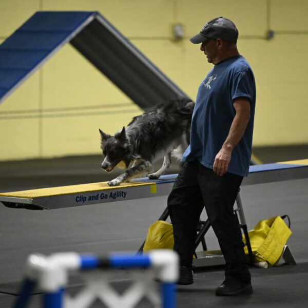 Grindylow-Rachow-03976