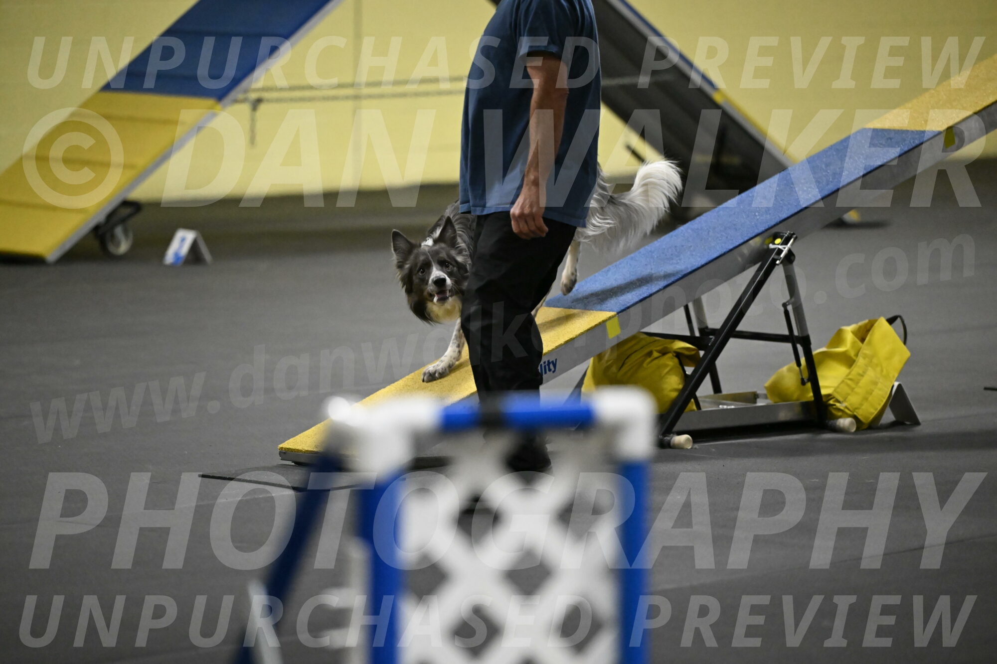 Grindylow-Rachow-03981