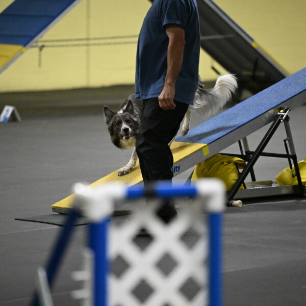 Grindylow-Rachow-03981